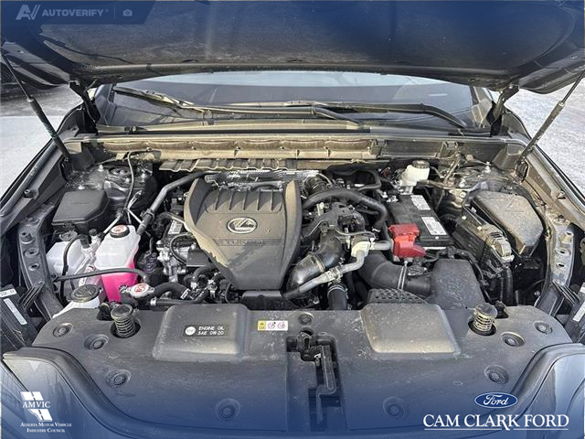 2023 Lexus NX 350 Base (Stk: P6895) in Olds - Image 10 of 25