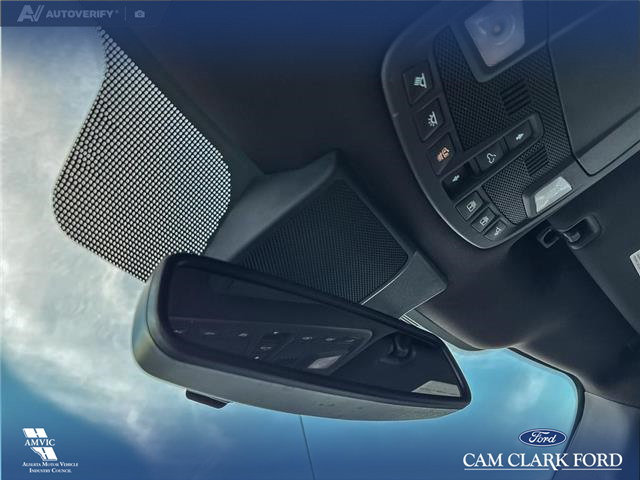 2020 Ford F-350 King Ranch (Stk: P1515) in Canmore - Image 21 of 27