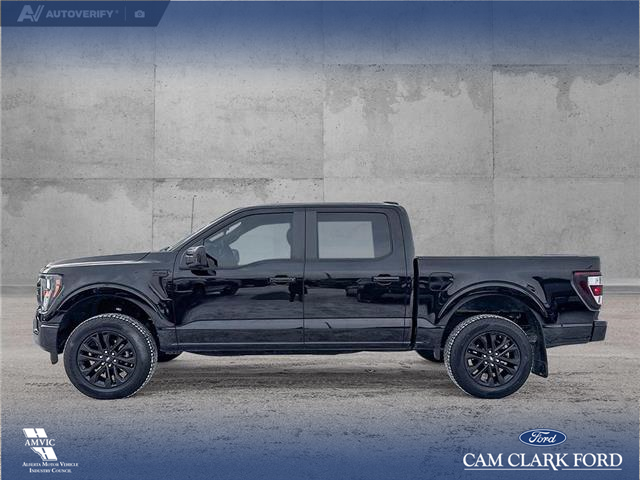 2023 Ford F-150 XL (Stk: P6862) in Olds - Image 3 of 23