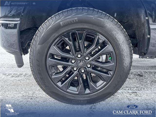 2023 Ford F-150 XL (Stk: P6862) in Olds - Image 6 of 23