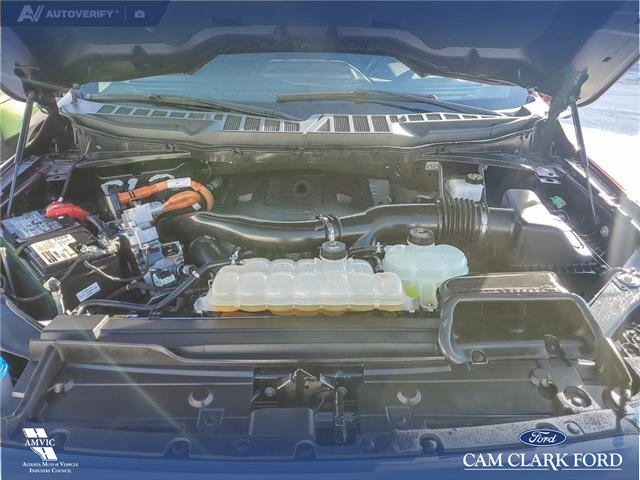 2023 Ford F-150 Platinum (Stk: U37934) in Red Deer - Image 10 of 25