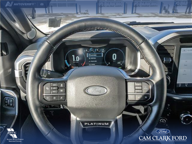 2023 Ford F-150 Platinum (Stk: U37934) in Red Deer - Image 14 of 25