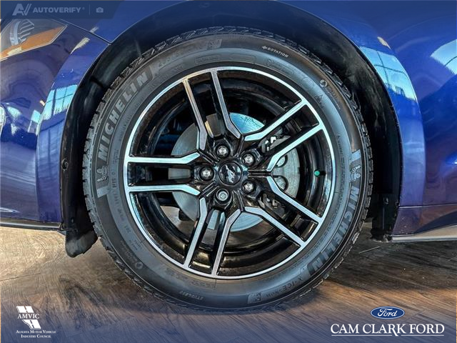 2020 Ford Mustang EcoBoost (Stk: P14825) in Airdrie - Image 6 of 25