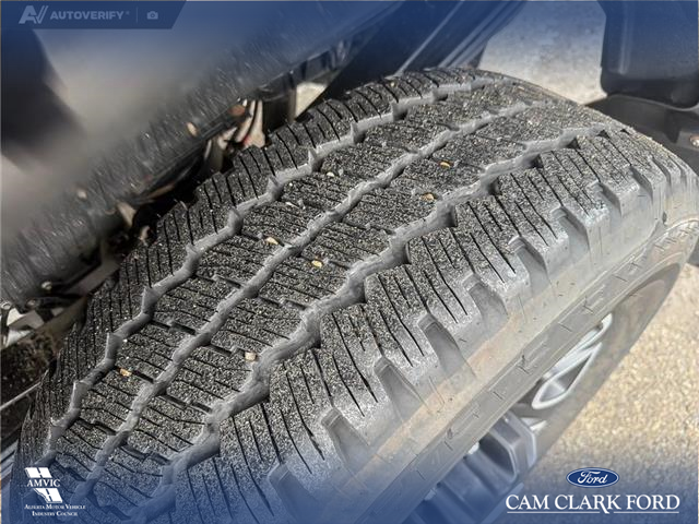 2023 Ford F-350 Platinum (Stk: P6918) in Olds - Image 7 of 25