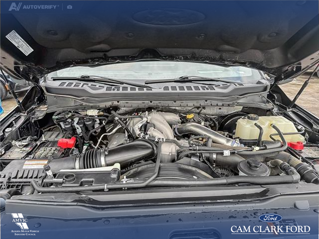 2023 Ford F-350 Platinum (Stk: P6918) in Olds - Image 10 of 25