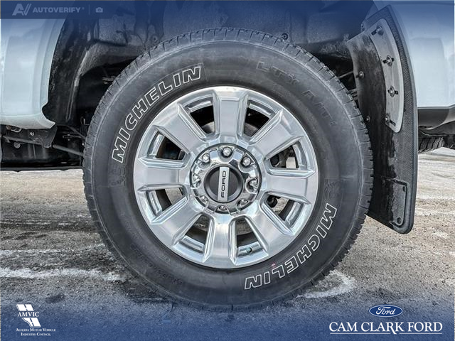 2021 Ford F-350 Platinum (Stk: P6906) in Olds - Image 6 of 24