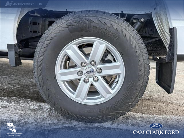 2023 Ford F-150 XLT (Stk: P6967) in Olds - Image 6 of 24