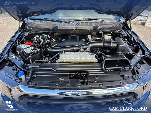 2023 Ford F-150 XLT (Stk: P1597) in Canmore - Image 10 of 25