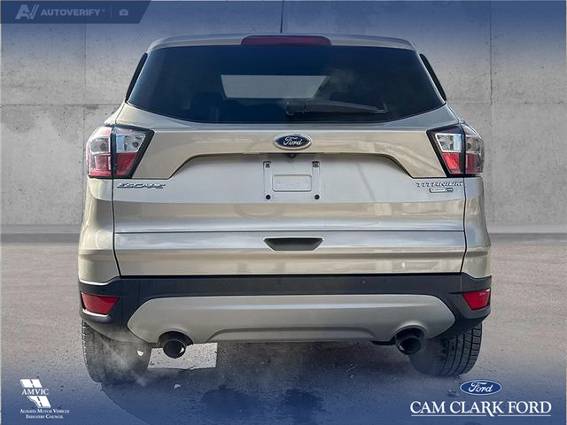2017 Ford Escape Titanium (Stk: P1598) in Canmore - Image 5 of 27