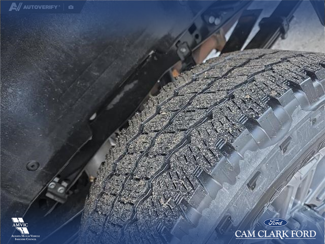 2023 Ford F-350 Limited (Stk: P6933) in Olds - Image 7 of 24