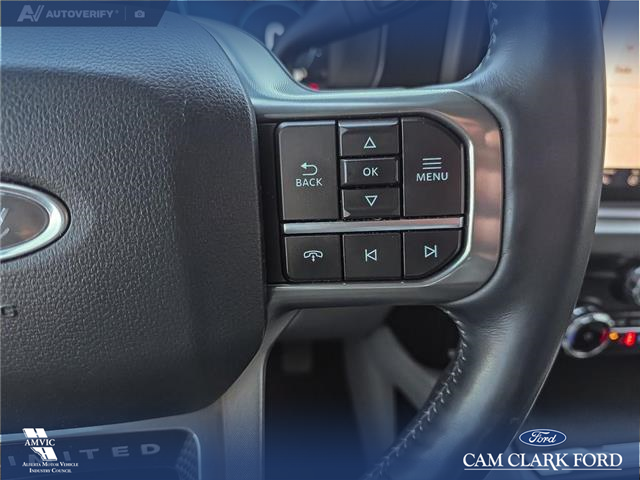 2023 Ford F-350 Limited (Stk: P6933) in Olds - Image 15 of 24