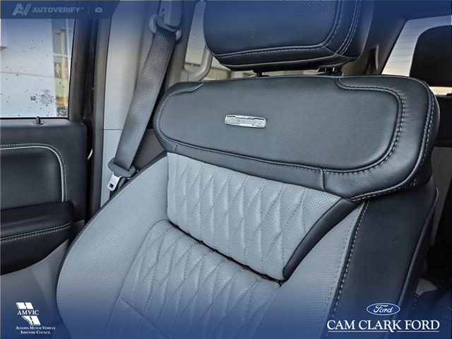 2023 Ford F-350 Limited (Stk: P6933) in Olds - Image 19 of 24