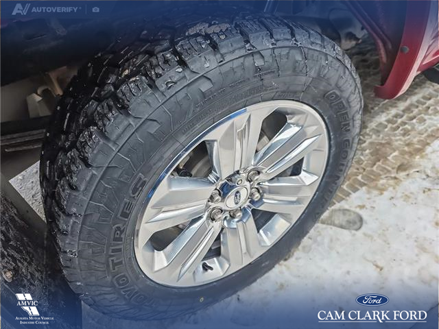 2019 Ford F-150 Lariat (Stk: P6955) in Olds - Image 6 of 24