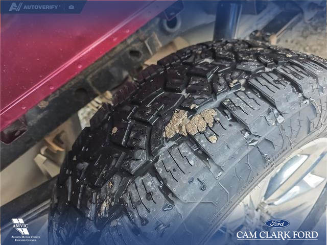 2019 Ford F-150 Lariat (Stk: P6955) in Olds - Image 7 of 24