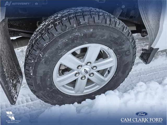 2023 Ford F-150 XLT (Stk: P6937) in Olds - Image 6 of 24