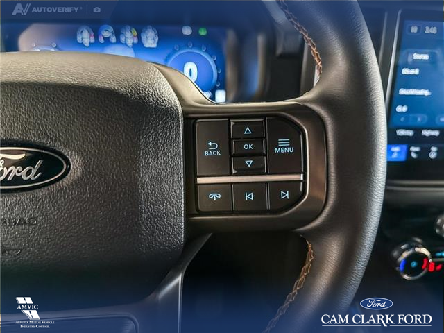 2025 Ford F-150 Tremor (Stk: P14906) in Airdrie - Image 16 of 25