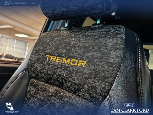 2025 Ford F-150 Tremor (Stk: P14905) in Airdrie - Image 20 of 25