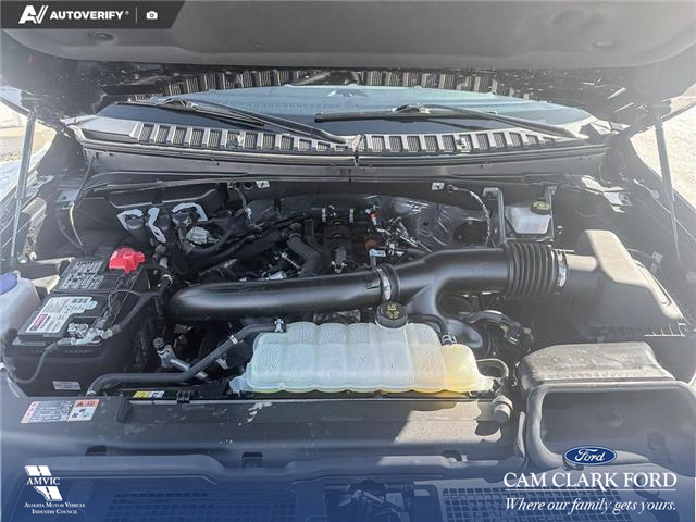 2024 Ford Expedition Max Platinum (Stk: P6976) in Olds - Image 10 of 25