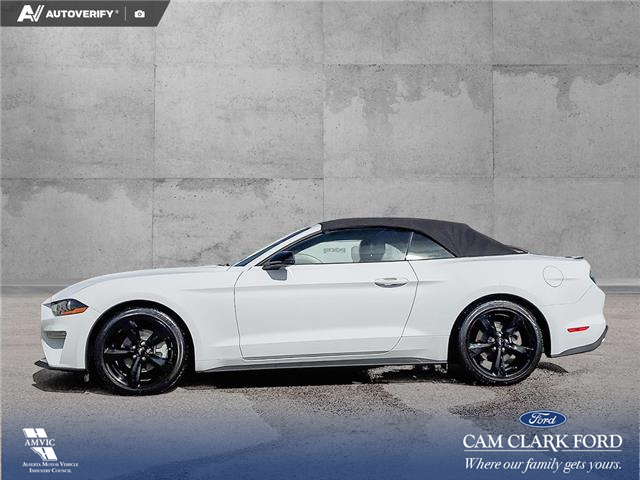 2022 Ford Mustang EcoBoost Premium (Stk: U38020) in Red Deer - Image 3 of 24