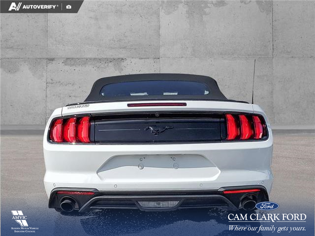 2022 Ford Mustang EcoBoost Premium (Stk: U38020) in Red Deer - Image 5 of 24