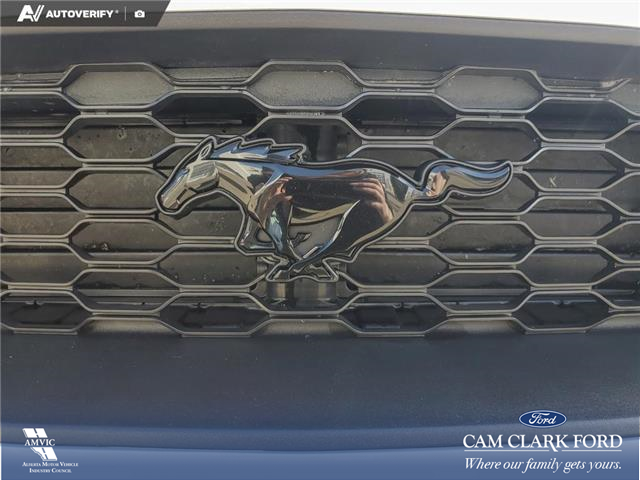 2022 Ford Mustang EcoBoost Premium (Stk: U38020) in Red Deer - Image 9 of 24