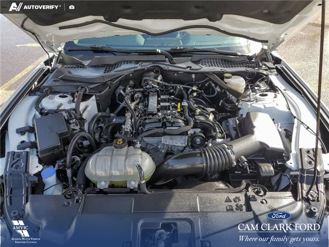 2022 Ford Mustang EcoBoost Premium (Stk: U38020) in Red Deer - Image 10 of 24