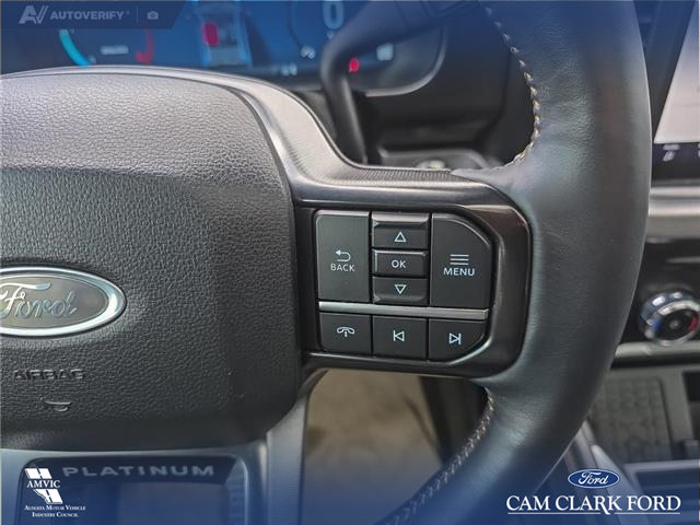 2024 Ford F-350 Platinum (Stk: P7000) in Olds - Image 15 of 24