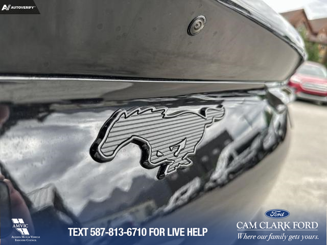 2023 Ford Mustang Mach-E Premium (Stk: 23CS9557) in Canmore - Image 10 of 25