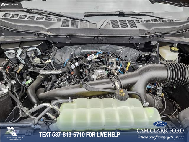 2024 Ford F-150 XLT (Stk: 24T2061) in Red Deer - Image 10 of 25
