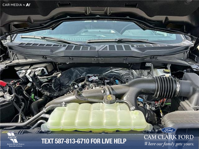 2025 Ford F-150 XLT (Stk: 25AT2920) in Airdrie - Image 10 of 25 2025 Ford F-150 XLT (Stk: 25AT2920) in Airdrie - Image 10 of 25
