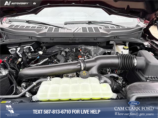 2025 Ford F-150 STX (Stk: 25T3233) in Red Deer - Image 8 of 24