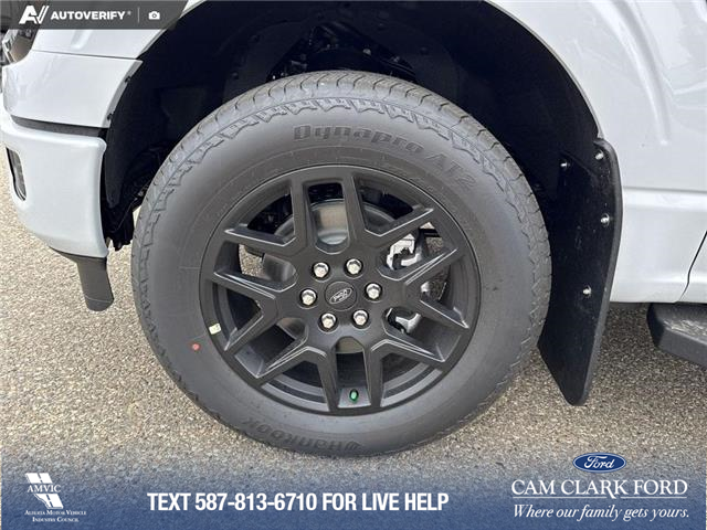 2025 Ford F-150 STX (Stk: 25T5132) in Red Deer - Image 6 of 24