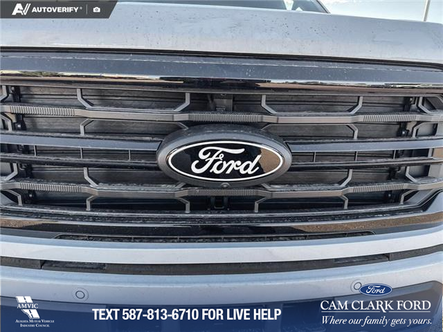 2025 Ford F-150 XLT (Stk: 25T8269) in Red Deer - Image 9 of 24