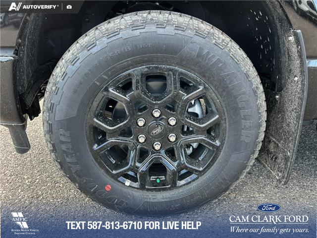 2025 Ford F-150 XLT (Stk: 25AT4262) in Airdrie - Image 6 of 25