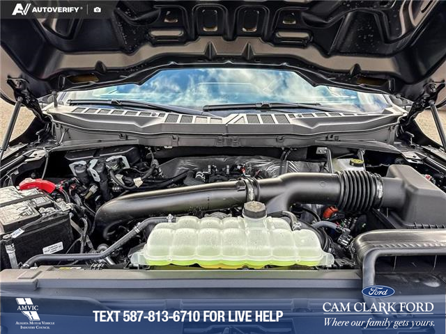 2025 Ford F-150 STX (Stk: 25T1278) in Red Deer - Image 10 of 24