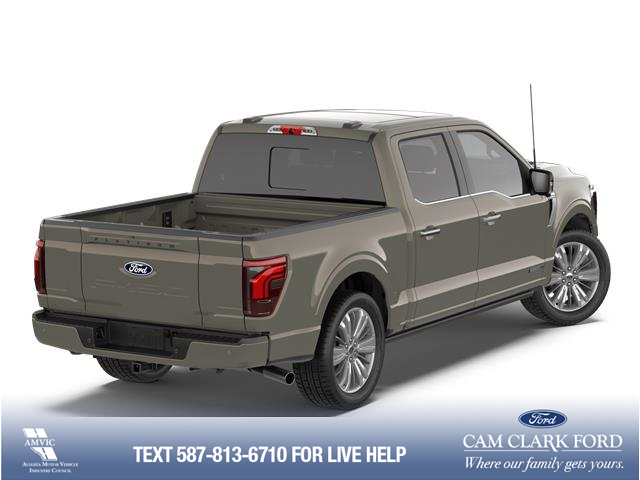 2026 Ford F-150 Platinum (Stk: 26AT2268) in Airdrie - Image 3 of 7