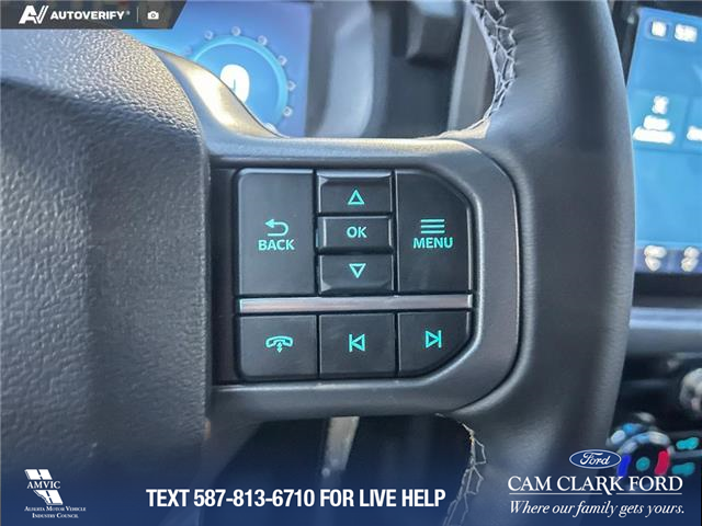 2025 Ford F-150 XLT (Stk: 25AT7324) in Airdrie - Image 16 of 25