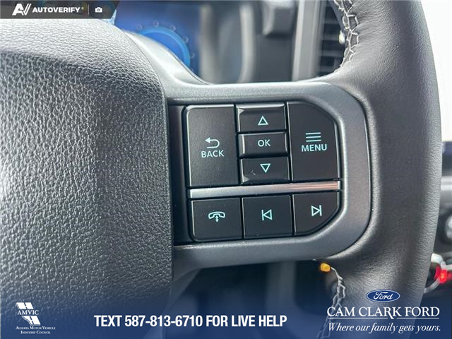 2025 Ford F-150 XLT (Stk: 25AT3591) in Airdrie - Image 15 of 24