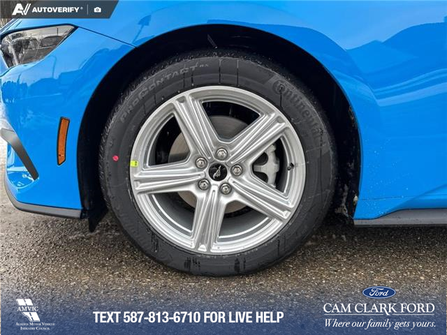 2026 Ford Mustang EcoBoost (Stk: 26C2902) in Olds - Image 6 of 25