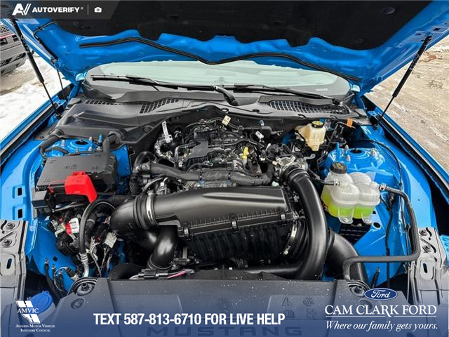2026 Ford Mustang EcoBoost (Stk: 26C2902) in Olds - Image 10 of 25