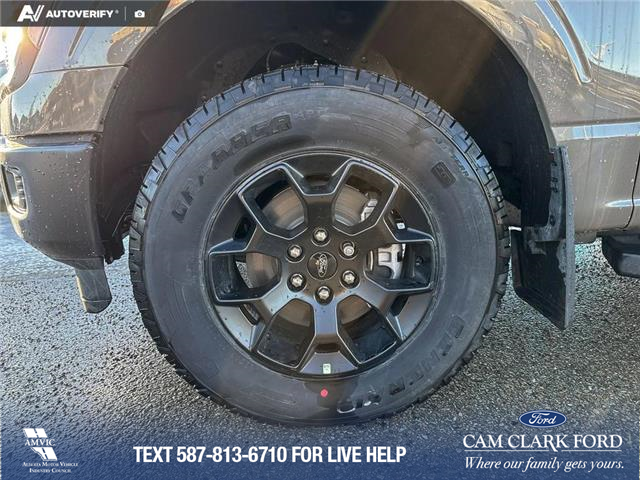 2025 Ford F-150 STX (Stk: 25T4170) in Olds - Image 6 of 25