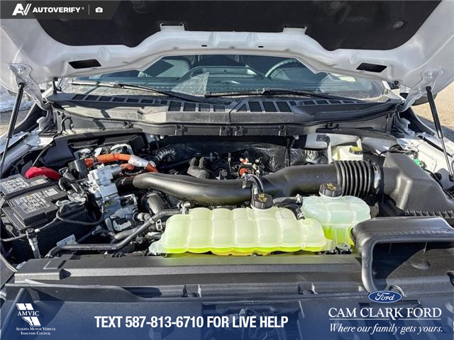 2026 Ford F-150 XLT (Stk: 26T8802) in Red Deer - Image 10 of 23 2026 Ford F-150 XLT (Stk: 26T8802) in Red Deer - Image 10 of 23