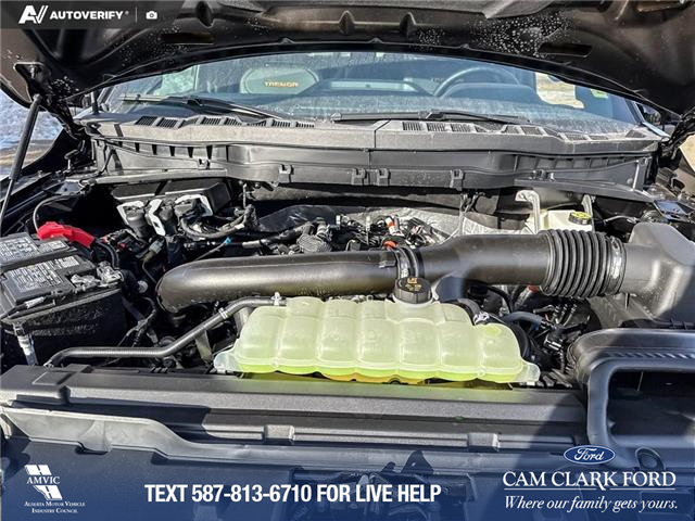 2026 Ford F-150 Tremor (Stk: 26T9752) in Red Deer - Image 10 of 24