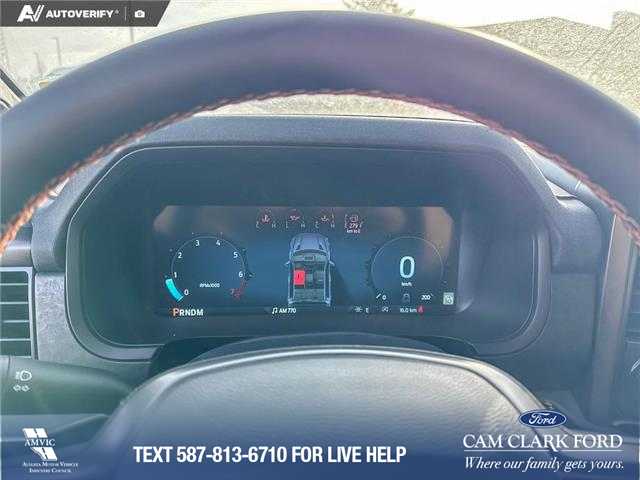 2026 Ford F-150 Tremor (Stk: 26T2093) in Red Deer - Image 14 of 24