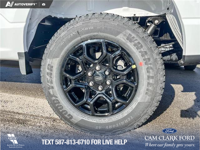 2026 Ford F-150 STX (Stk: 26T3246) in Olds - Image 6 of 24