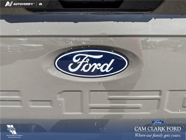 2026 Ford F-150 STX (Stk: 26T3374) in Olds - Image 9 of 25 2026 Ford F-150 STX (Stk: 26T3374) in Olds - Image 9 of 25