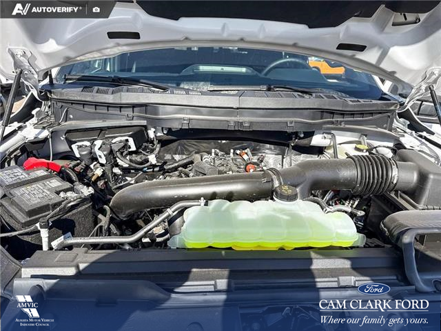 2026 Ford F-150 Tremor (Stk: 26T5703) in Red Deer - Image 10 of 24 2026 Ford F-150 Tremor (Stk: 26T5703) in Red Deer - Image 10 of 24