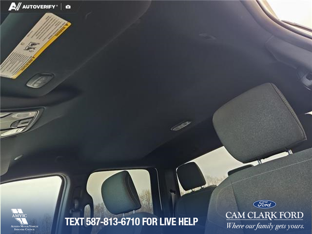 2021 RAM 3500 Big Horn (Stk: P1132) in Innisfail - Image 14 of 24