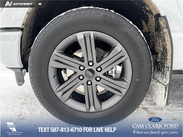 2023 Ford F-150 XLT (Stk: P6840) in Olds - Image 6 of 25