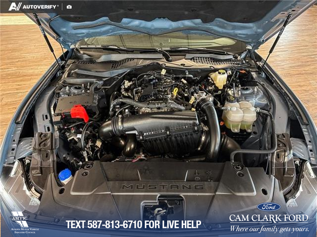 2025 Ford Mustang EcoBoost Premium (Stk: P14738) in Airdrie - Image 10 of 25